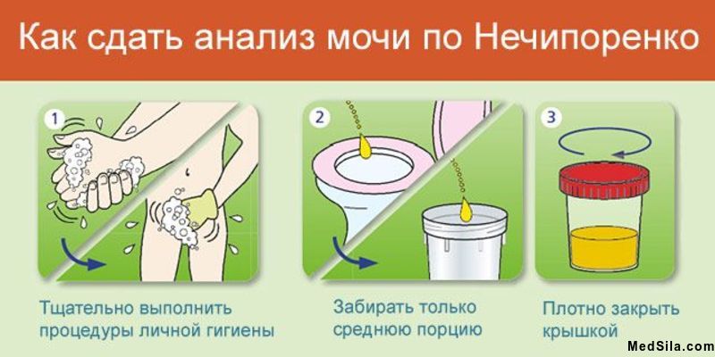 Правила подготовки к сдаче анализа